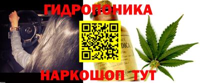 прущий лед Жуковский