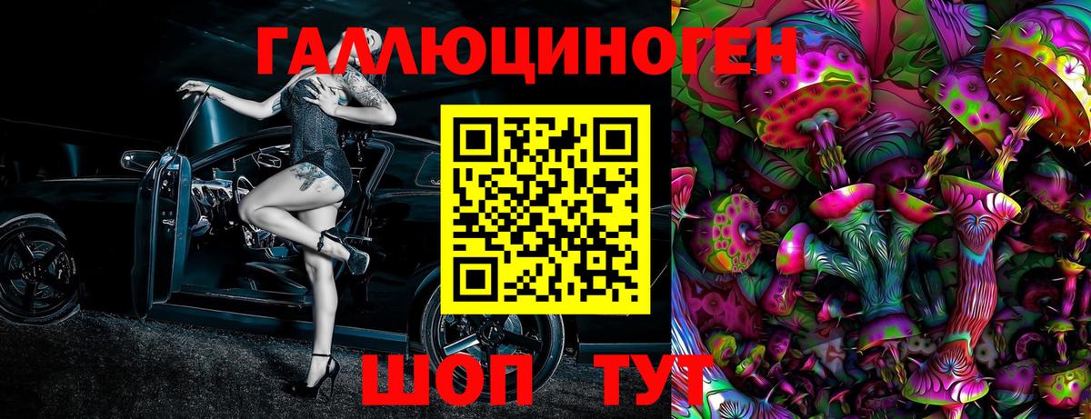 Галлюциногенные грибы Cubensis Новодвинск
