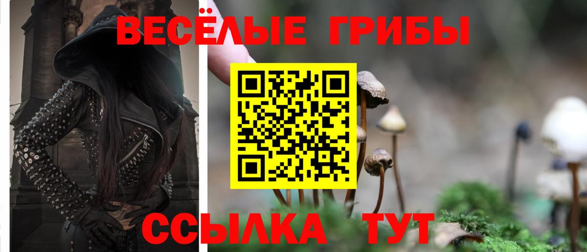 Псилоцибиновые грибы Psilocybe  Псилоцибиновые грибы Cubensis  Новодвинск  Вход с VPN 